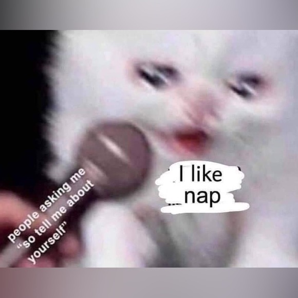 Meet your Posher, Sheena - Picture 8 of 16